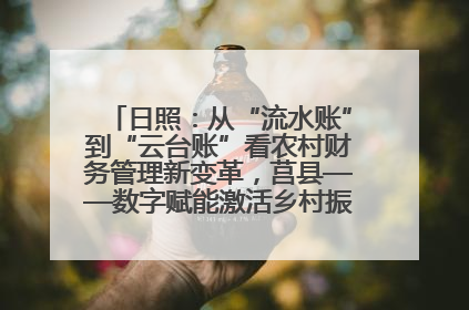 日照：从“流水账”到“云台账”看农村财务管理新变革，莒县——数字赋能激活乡村振兴“一池春水”