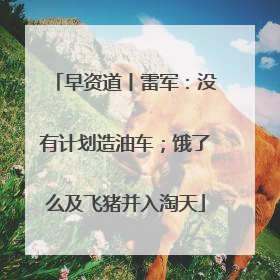 早资道丨雷军：没有计划造油车；饿了么及飞猪并入淘天