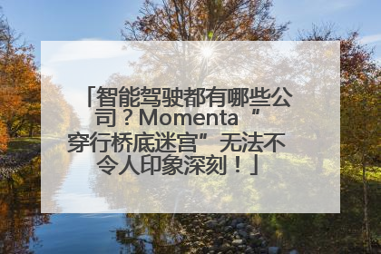 智能驾驶都有哪些公司？Momenta“穿行桥底迷宫”无法不令人印象深刻！