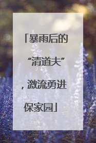暴雨后的“清道夫”，激流勇进保家园