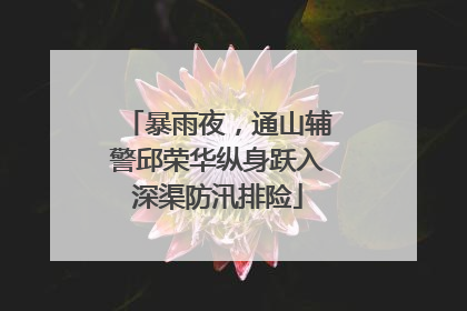 暴雨夜，通山辅警邱荣华纵身跃入深渠防汛排险