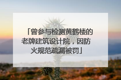 曾参与检测黄鹤楼的老牌建筑设计院，因防火规范疏漏被罚