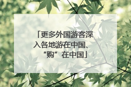 更多外国游客深入各地游在中国、“购”在中国