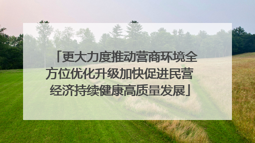 更大力度推动营商环境全方位优化升级加快促进民营经济持续健康高质量发展