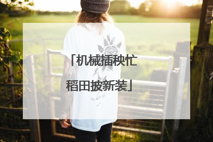 机械插秧忙 稻田披新装