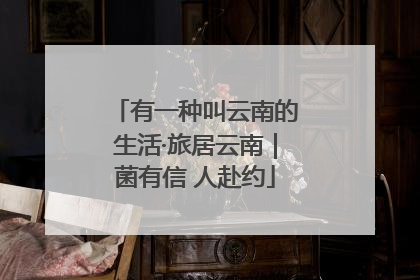 有一种叫云南的生活·旅居云南｜菌有信 人赴约