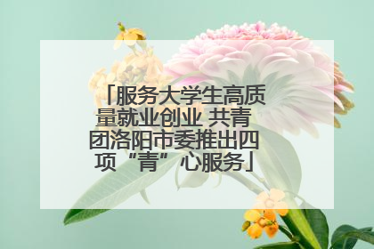 服务大学生高质量就业创业 共青团洛阳市委推出四项“青”心服务