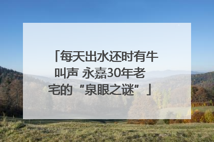 每天出水还时有牛叫声 永嘉30年老宅的“泉眼之谜”