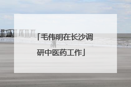 毛伟明在长沙调研中医药工作