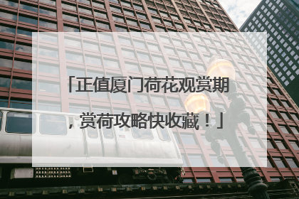 正值厦门荷花观赏期，赏荷攻略快收藏！