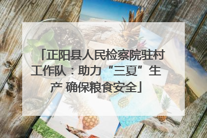 正阳县人民检察院驻村工作队：助力“三夏”生产 确保粮食安全