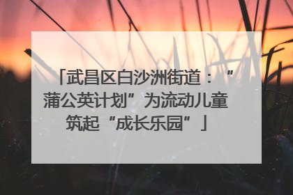 武昌区白沙洲街道：“蒲公英计划”为流动儿童筑起“成长乐园”