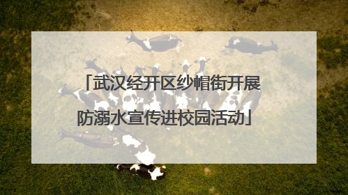 武汉经开区纱帽街开展防溺水宣传进校园活动