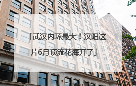 武汉内环最大！汉阳这片6月顶流花海开了
