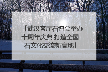 武汉客厅石博会举办十周年庆典 打造全国石文化交流新高地