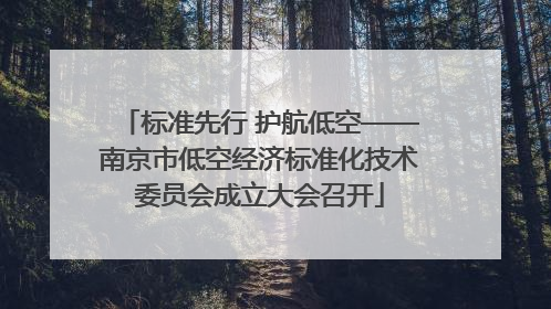 标准先行 护航低空——南京市低空经济标准化技术委员会成立大会召开