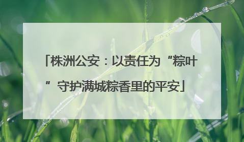 株洲公安：以责任为“粽叶”守护满城粽香里的平安
