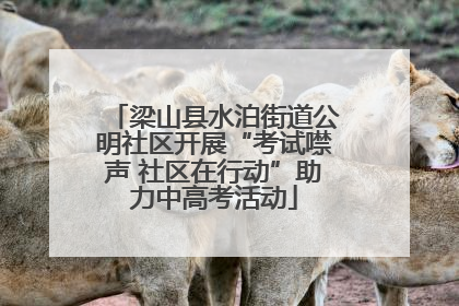 梁山县水泊街道公明社区开展“考试噤声 社区在行动”助力中高考活动