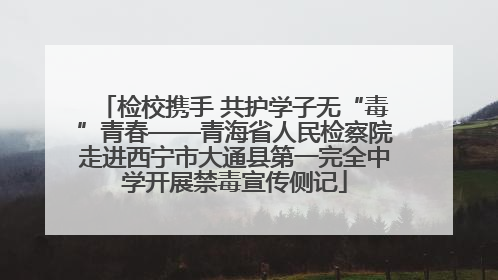 检校携手 共护学子无“毒”青春——青海省人民检察院走进西宁市大通县第一完全中学开展禁毒宣传侧记