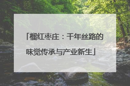 榴红枣庄：千年丝路的味觉传承与产业新生