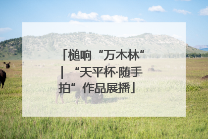 槌响“万木林”｜“天平杯·随手拍”作品展播