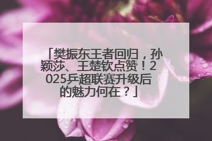 樊振东王者回归，孙颖莎、王楚钦点赞！2025乒超联赛升级后的魅力何在？