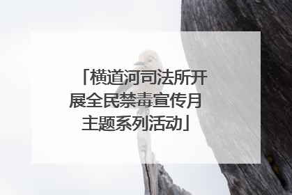 横道河司法所开展全民禁毒宣传月主题系列活动