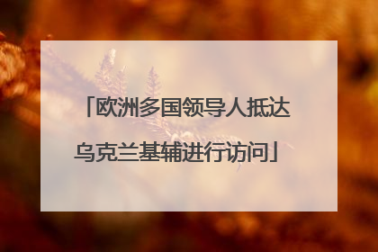 欧洲多国领导人抵达乌克兰基辅进行访问