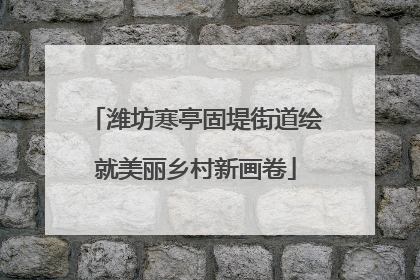 潍坊寒亭固堤街道绘就美丽乡村新画卷