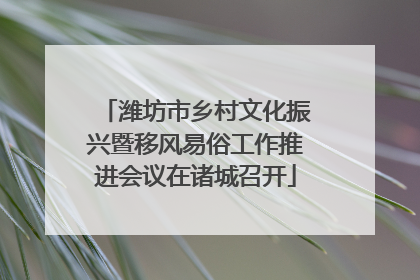 潍坊市乡村文化振兴暨移风易俗工作推进会议在诸城召开