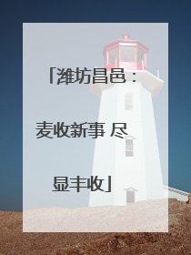 潍坊昌邑：麦收新事 尽显丰收