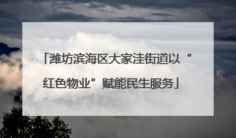 潍坊滨海区大家洼街道以“红色物业”赋能民生服务