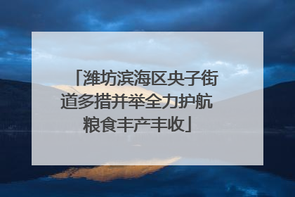 潍坊滨海区央子街道多措并举全力护航粮食丰产丰收