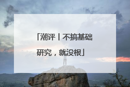 潮评丨不搞基础研究，就没根