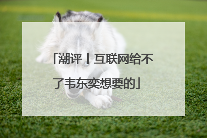 潮评丨互联网给不了韦东奕想要的