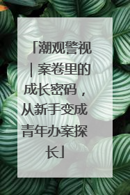 潮观警视｜案卷里的成长密码，从新手变成青年办案探长