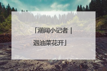 潮闻小记者｜遇油菜花开