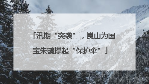 汛期“突袭”，崀山为国宝朱鹮撑起“保护伞”