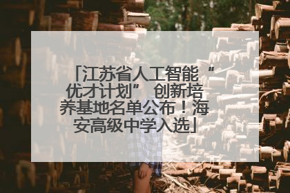 江苏省人工智能“优才计划” 创新培养基地名单公布！海安高级中学入选