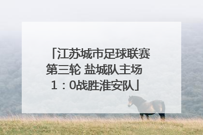 江苏城市足球联赛第三轮 盐城队主场1：0战胜淮安队