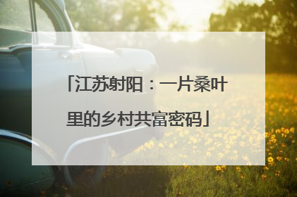 江苏射阳：一片桑叶里的乡村共富密码