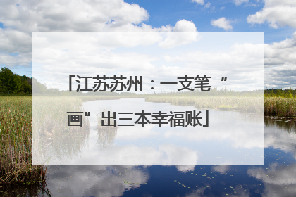 江苏苏州：一支笔“画”出三本幸福账