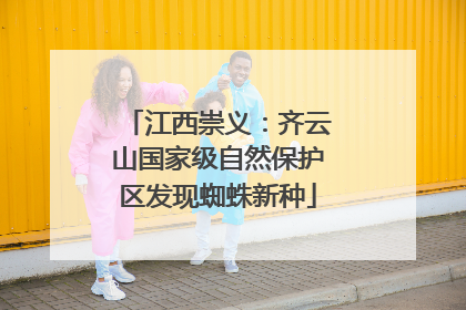 江西崇义：齐云山国家级自然保护区发现蜘蛛新种