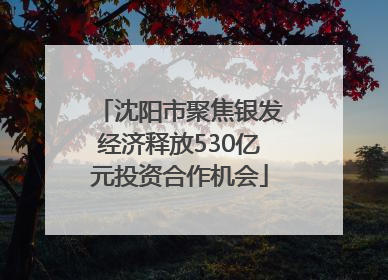 沈阳市聚焦银发经济释放530亿元投资合作机会