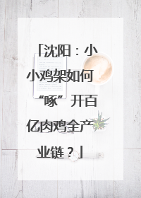 沈阳：小小鸡架如何“啄”开百亿肉鸡全产业链？