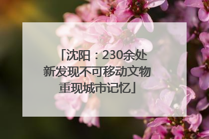 沈阳：230余处新发现不可移动文物重现城市记忆