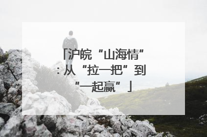 沪皖“山海情”：从“拉一把”到“一起赢”