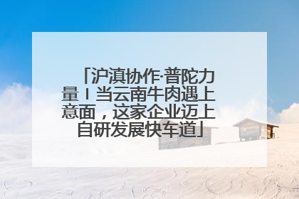 沪滇协作·普陀力量〡当云南牛肉遇上意面，这家企业迈上自研发展快车道