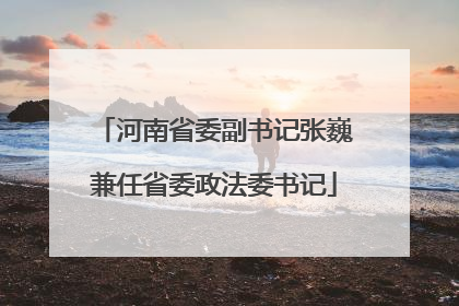 河南省委副书记张巍兼任省委政法委书记