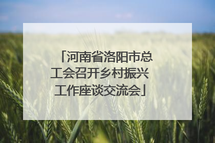 河南省洛阳市总工会召开乡村振兴工作座谈交流会